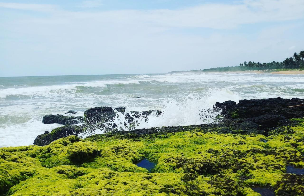 Oceanic Beach Residency Varkala Exteriér fotografie